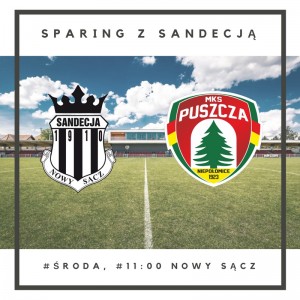 sandecja-sparing