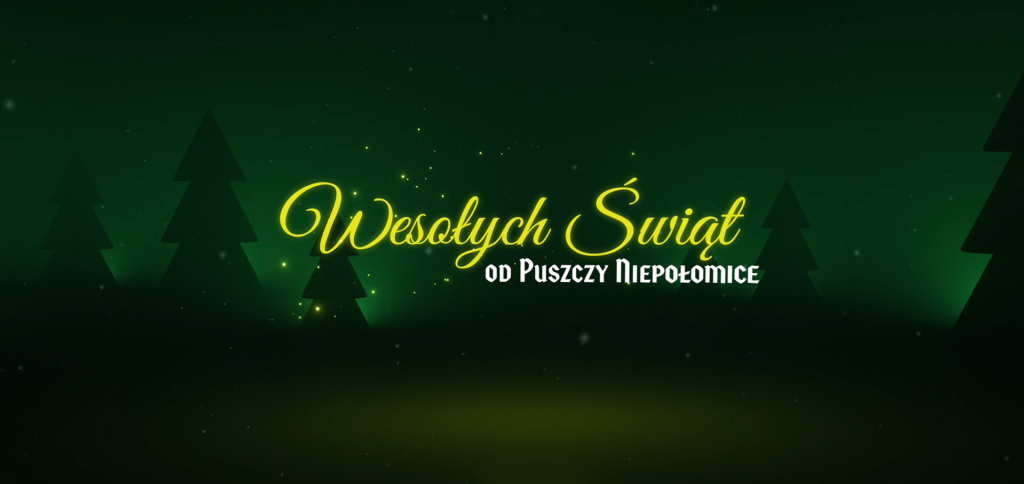 Wesołych Świąt! [VIDEO]